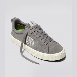 CATIBA PRO Cariuma Low Top Suede Hombre Gris | NT3716589