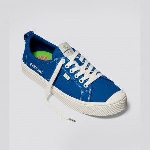 OCA LOW Cariuma Low Top Canvas Hombre Azules | UL6780459