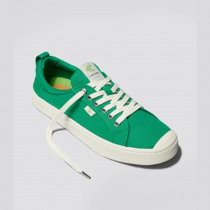 OCA LOW Cariuma Low Top Lona Vegan Hombre Verde | MI7836514