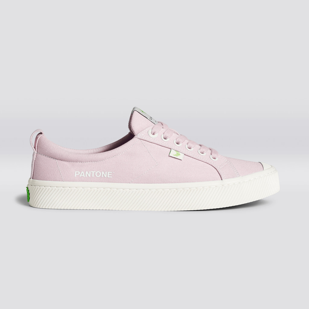 OCA LOW Cariuma Low Top Canvas Hombre Pale Lilac | LF0125683